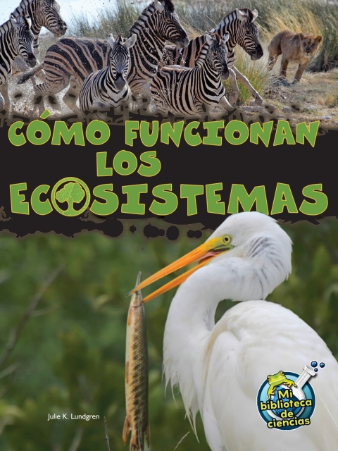 Cómo funcionan los ecosistemas
