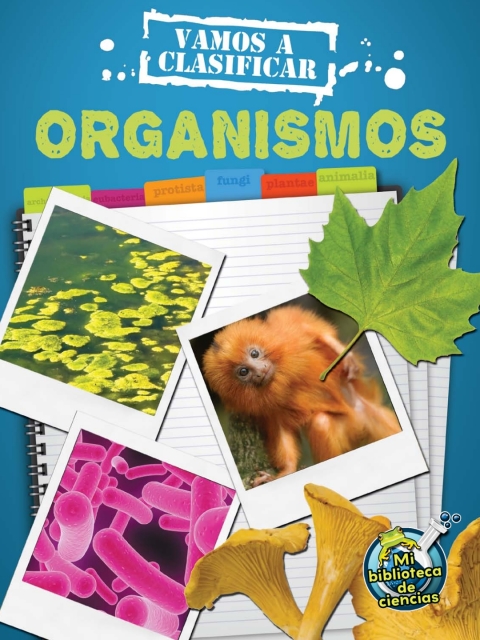 Vamos a clasificar organismos