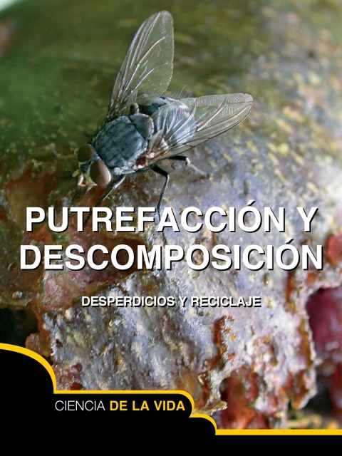 Putrefacción y descomposición
