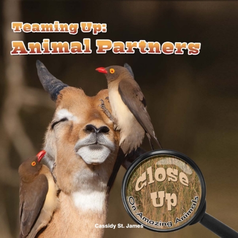 Cover image for book Teaming Up