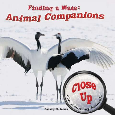 Cover image for book Finding a Mate