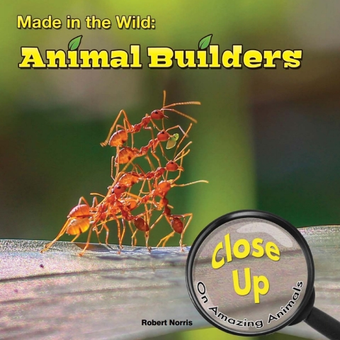 Cover image for book Made in the Wild