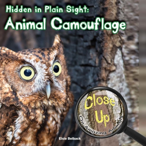Cover image for book Hidden in Plain Sight