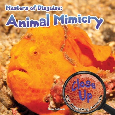 Cover image for book Masters of Disguise