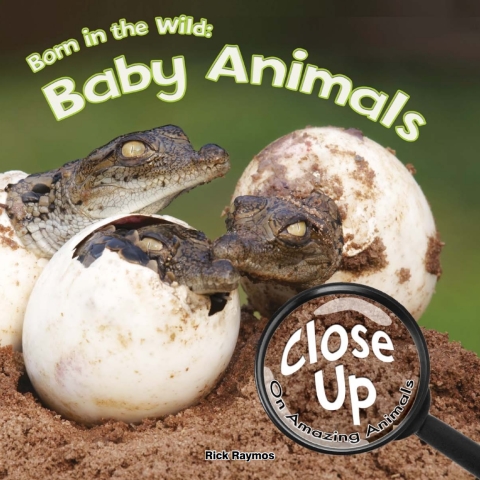 Cover image for book Born in the Wild