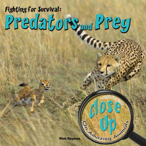 Cover image for book Fighting for Survival