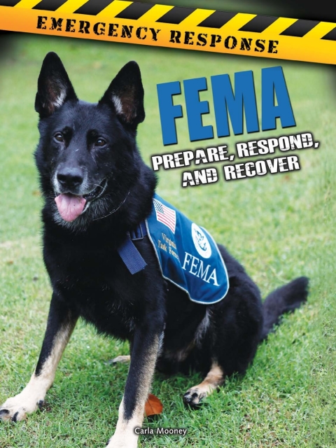 Cover image for book FEMA
