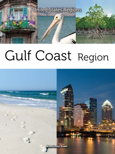 Cover image for book Gulf Coast Region