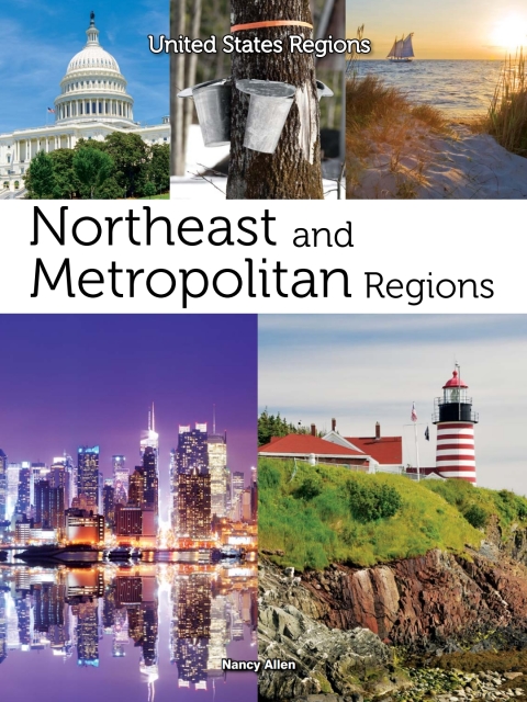 Cover image for book Northeast and Metropolitan Regions