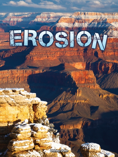 Cover image for book Erosion