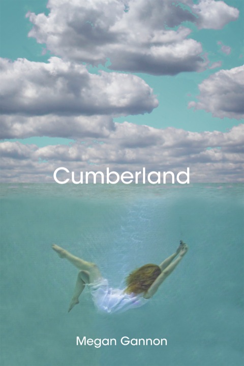 Cover image for book Cumberland