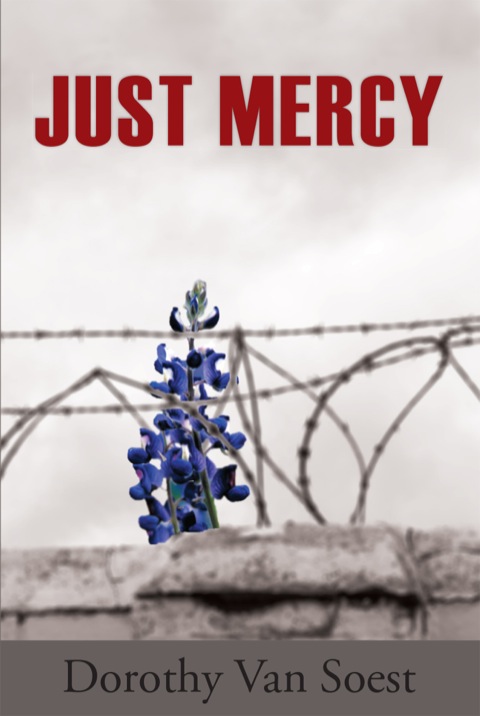 Cover image for book Just Mercy