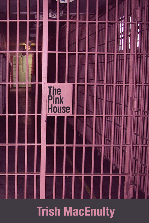 Cover image for book The Pink House