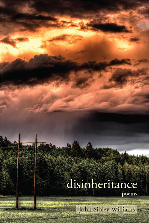 Cover image for book Disinheritance