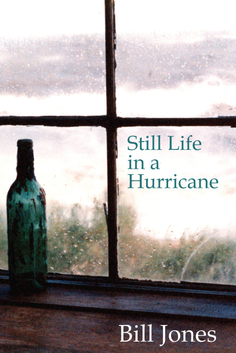 Cover image for book Stil Life in a Hurricane