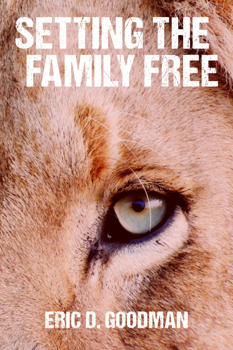 Cover image for book Setting the Family Free