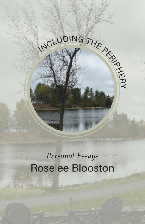 Cover image for book Including the Periphery
