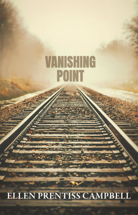 Cover image for book Vanishing Point