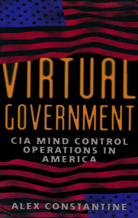 Cover image for book Virtual Government