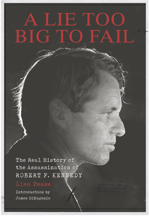 Cover image for book A Lie Too Big to Fail
