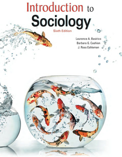 Cover image for book Introduction to Sociology