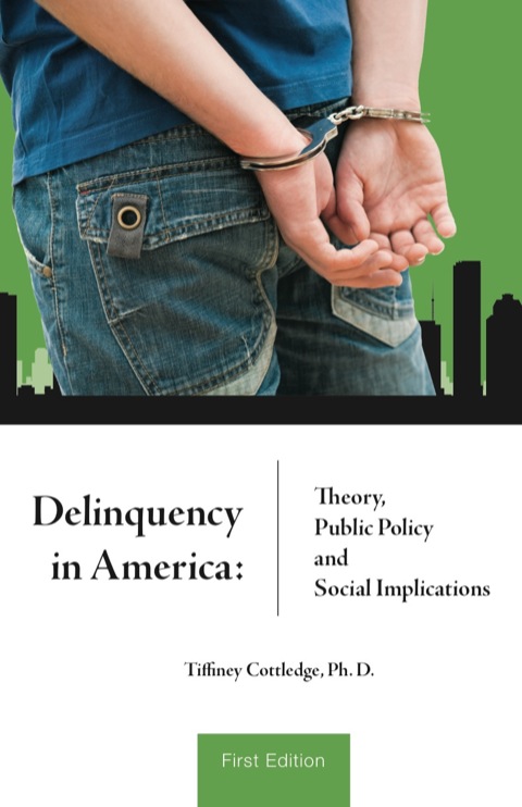 Cover image for book Delinquency in America: Theory, Public Policy and Social Implications