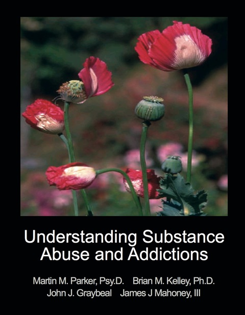 Cover image for book Understanding Substance Abuse and Addictions
