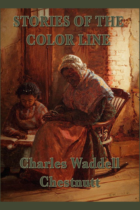 Cover image for book Stories of the Color Line