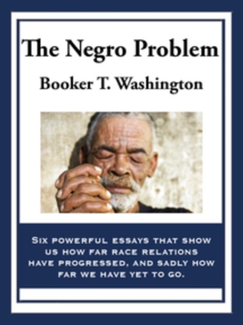 Cover image for book The Negro Problem