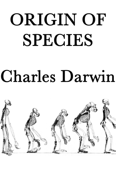 Cover image for book Origin of Species