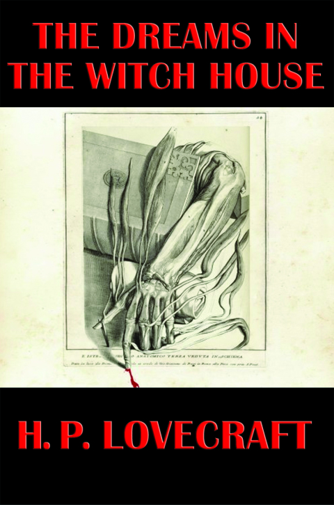 Cover image for book The Dreams in the Witch-House