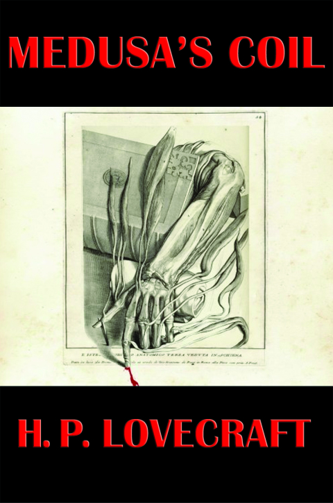 Cover image for book Medusa's Coil