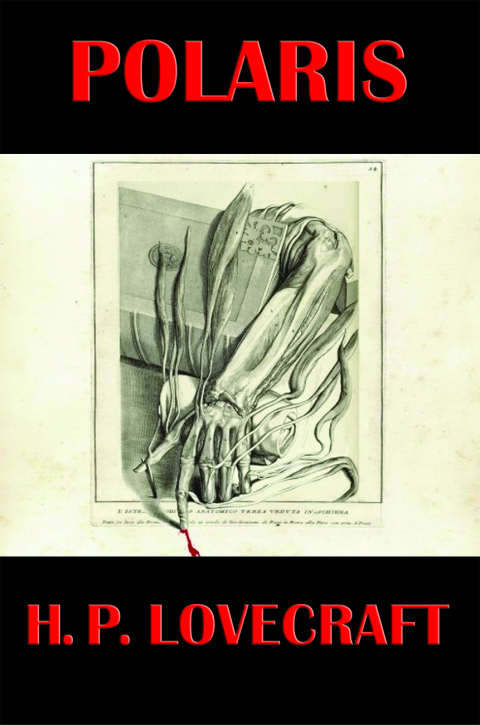 Cover image for book Polaris