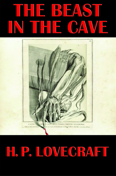 Cover image for book The Beast in the Cave