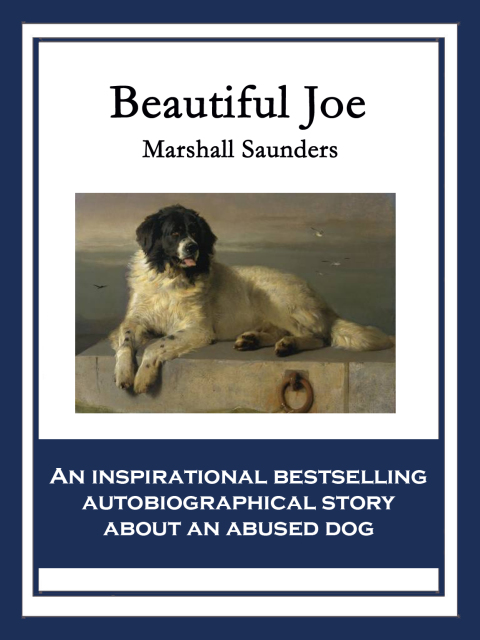 Cover image for book Beautiful Joe