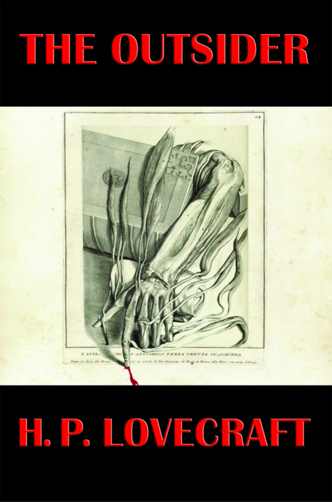 Cover image for book The Outsider