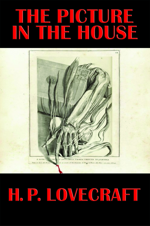 Cover image for book The Picture in the House
