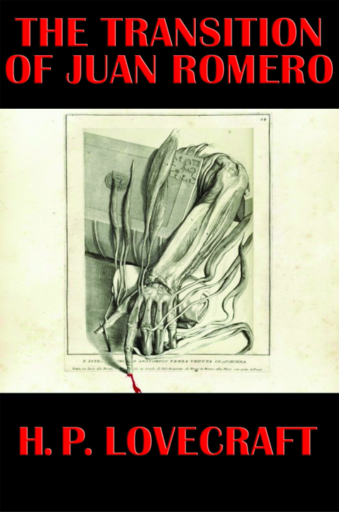 Cover image for book The Transition of Juan Romero