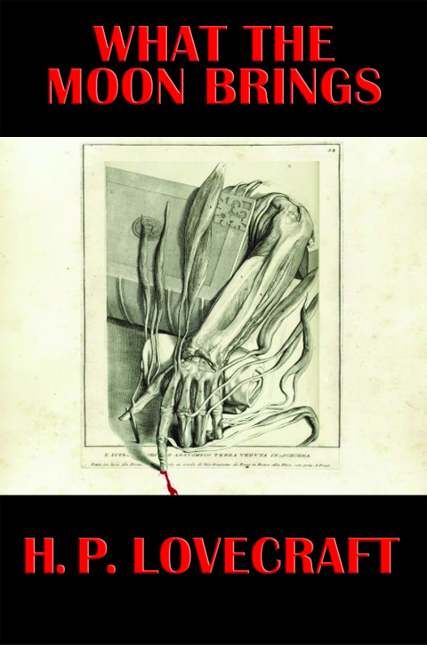 Cover image for book What the Moon Brings