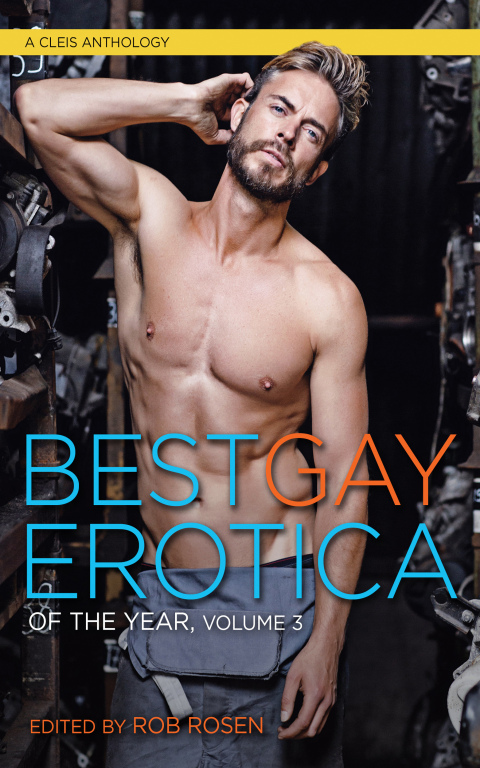 Cover image for book Best Gay Erotica of the Year, Volume 3