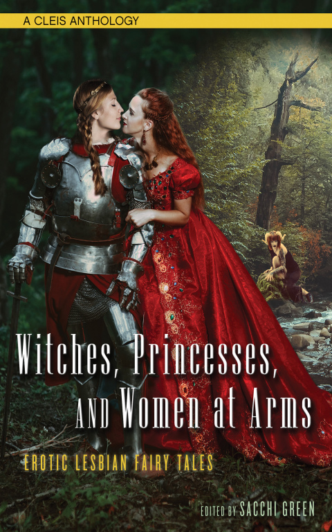 Cover image for book Witches, Princesses, and Women at Arms