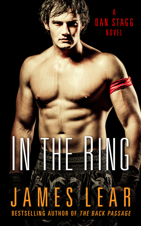 Cover image for book In the Ring