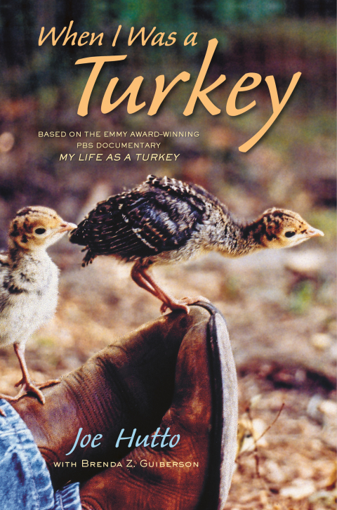 Cover image for book When I Was a Turkey