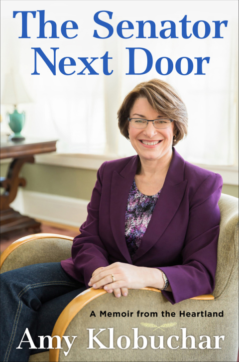 Cover image for book The Senator Next Door