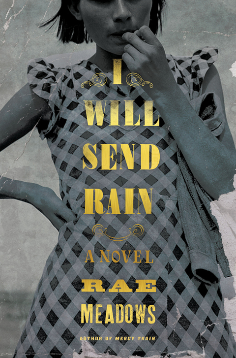 Cover image for book I Will Send Rain