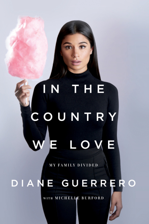 Cover image for book In the Country We Love