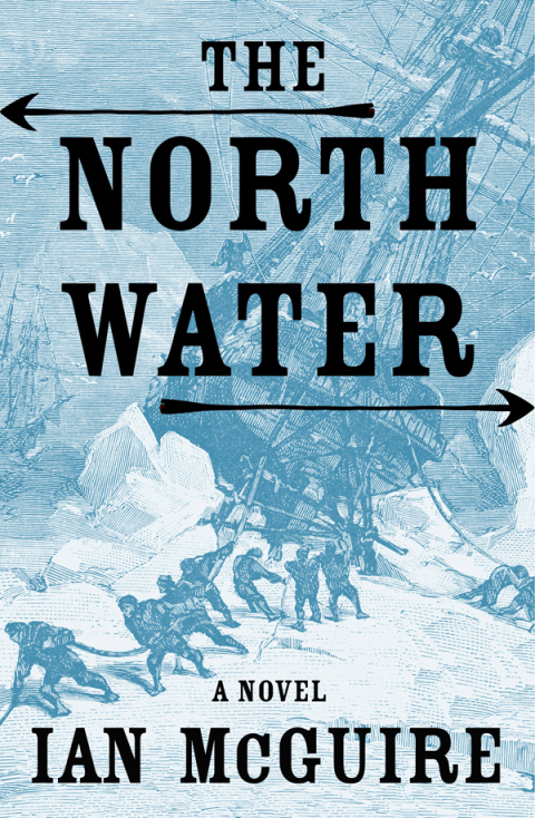 Cover image for book The North Water