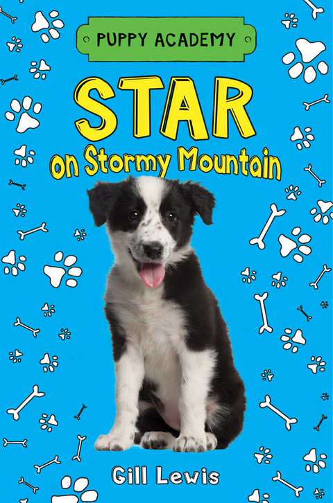 Cover image for book Star on Stormy Mountain