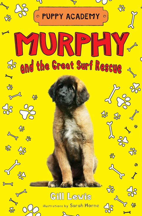 Cover image for book Murphy and the Great Surf Rescue