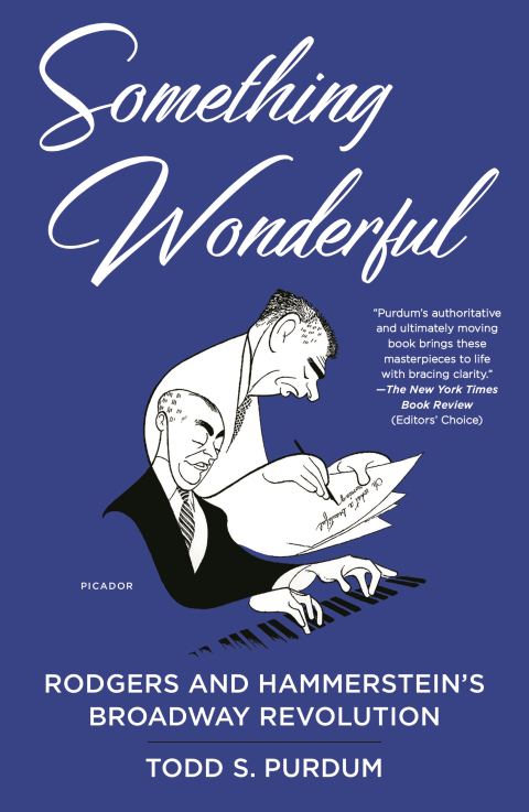 Cover image for book Something Wonderful